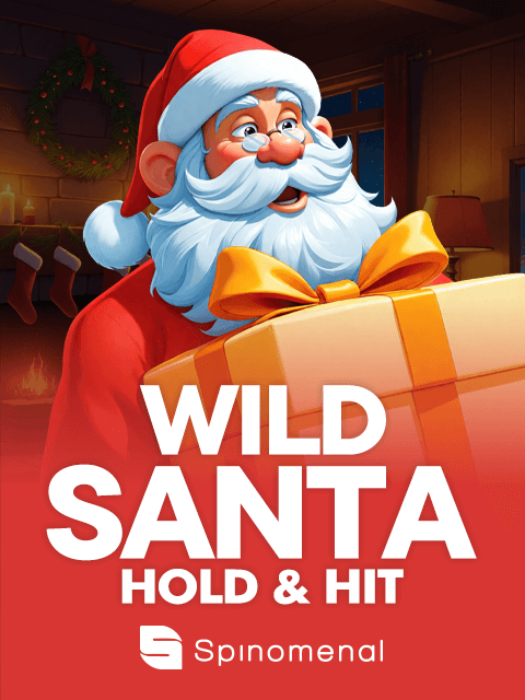 Wild Santa - Hold & Hit