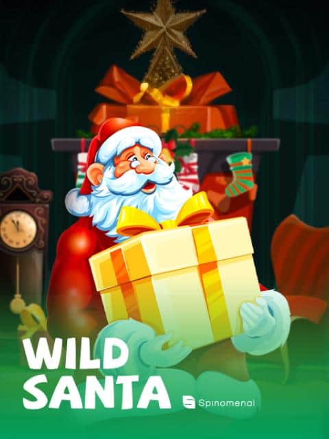 Wild Santa