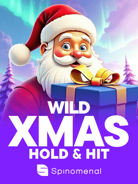 Wild Xmas - Hold & Hit