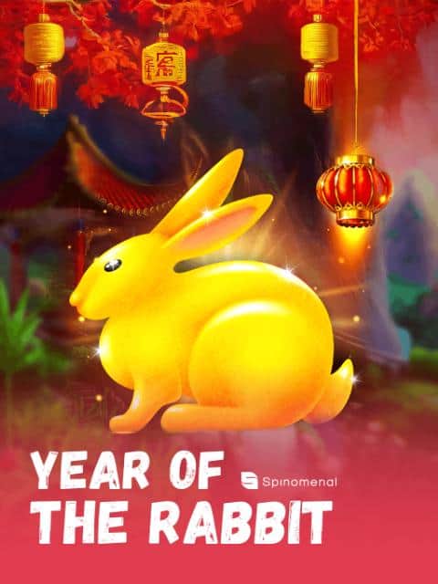 Year Of The Rabbit