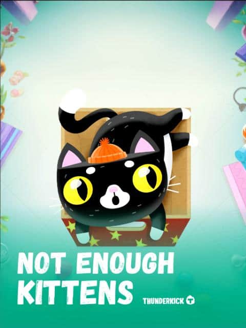 Not Enough Kittens