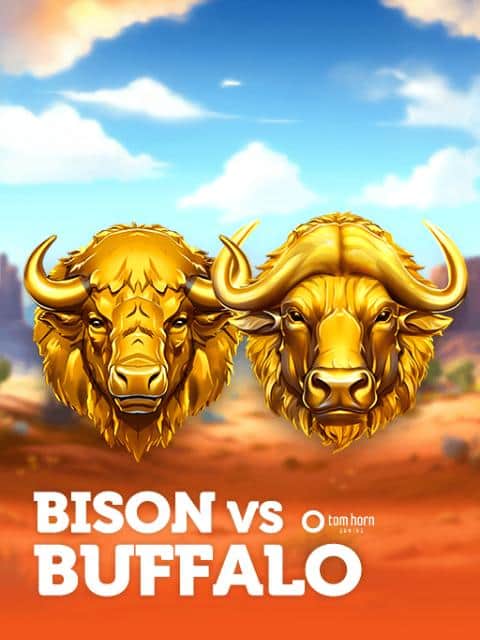 Bison vs Buffalo
