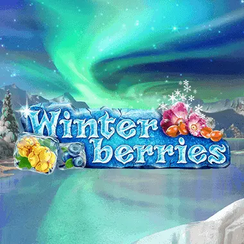 Winter Berries